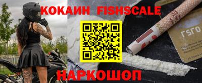 a pvp Камышлов