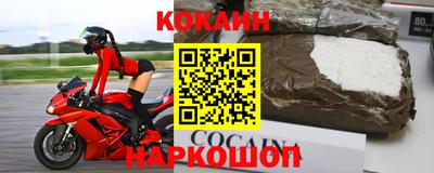 a pvp Камышлов