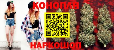 a pvp Камышлов