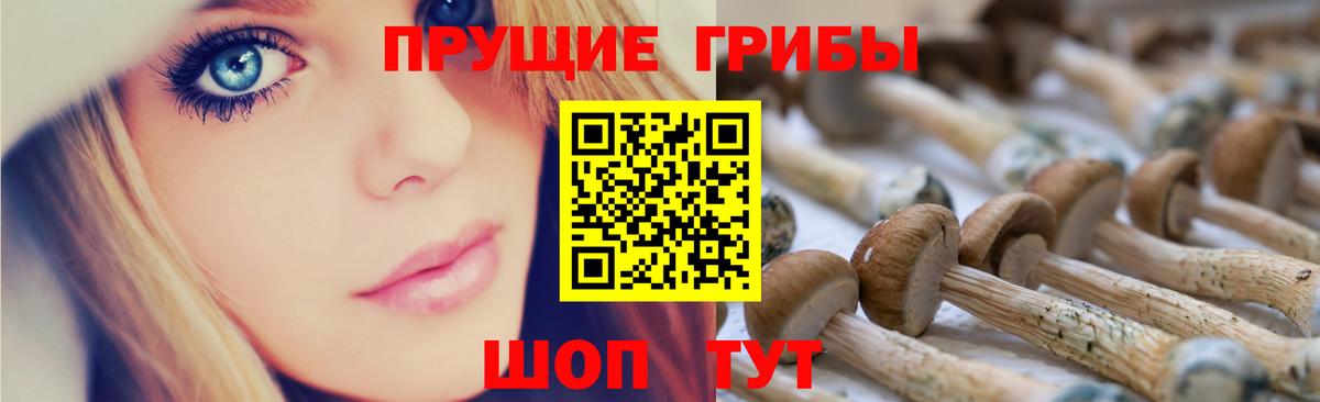 Псилоцибиновые грибы Psilocybine cubensis  Вход с VPN  Вязники  Псилоцибиновые грибы мухоморы 