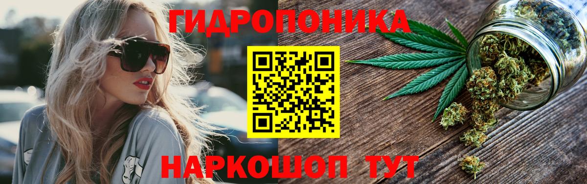 Бошки Шишки марихуана  Вход с VPN  Вязники  Бошки марихуана Amnesia  Бошки Шишки AK-47 